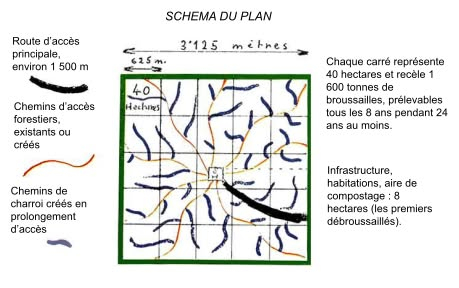 Jean Pain's 1,000-hectare plan schematic — clearance organised in 40-hectare units with radiating access tracks